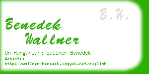 benedek wallner business card